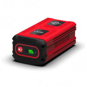 Trelawny VoltMax 82v Battery 580Wh (8Ah)